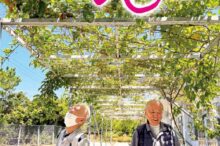 広報誌146号